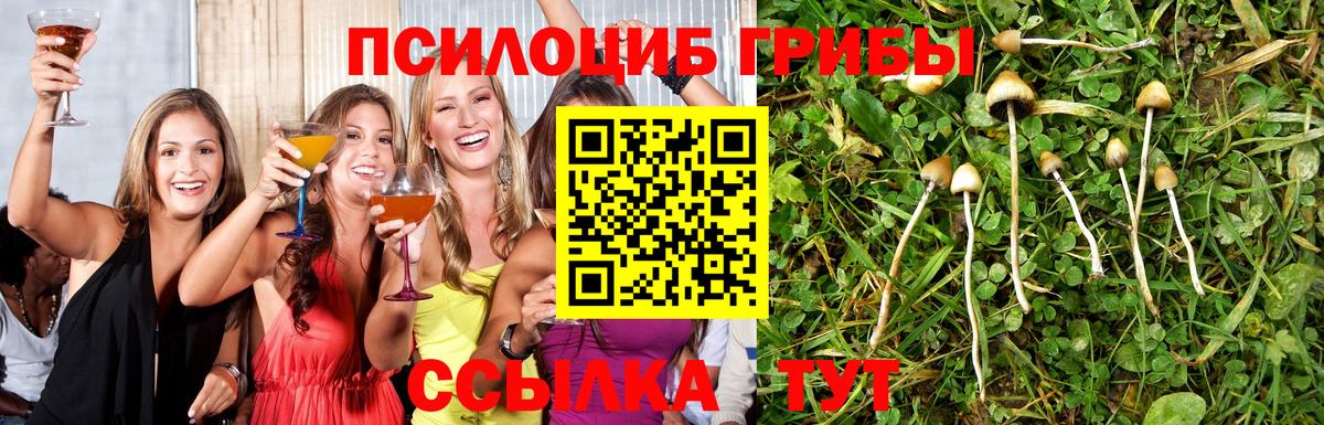 Галлюциногенные грибы Psilocybe  Вход с VPN  Псилоцибиновые грибы Cubensis  Майский 