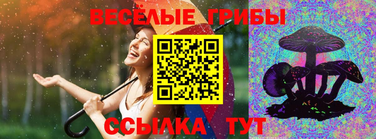 Галлюциногенные грибы мухоморы  Майский 